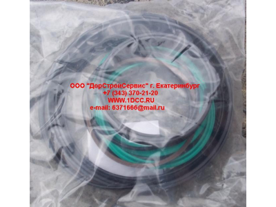 Ремкомплект гидроцилиндра стрелы (100x115) CDM855 Lonking CDM (СДМ)  фото 1 Улан-Удэ